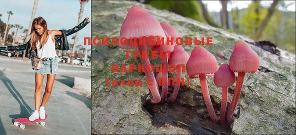 прущая мука Няндома
