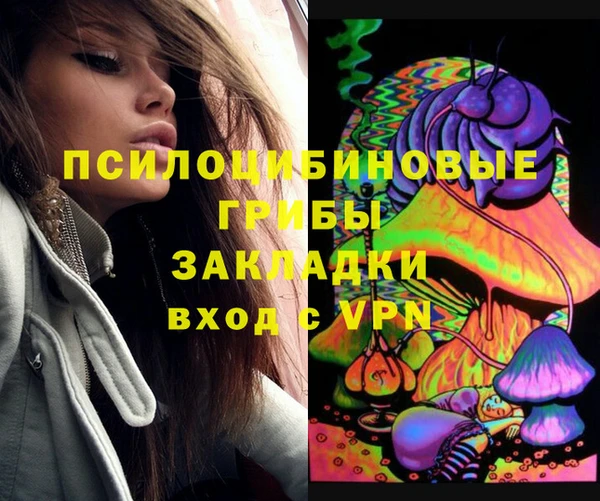 прущая мука Няндома