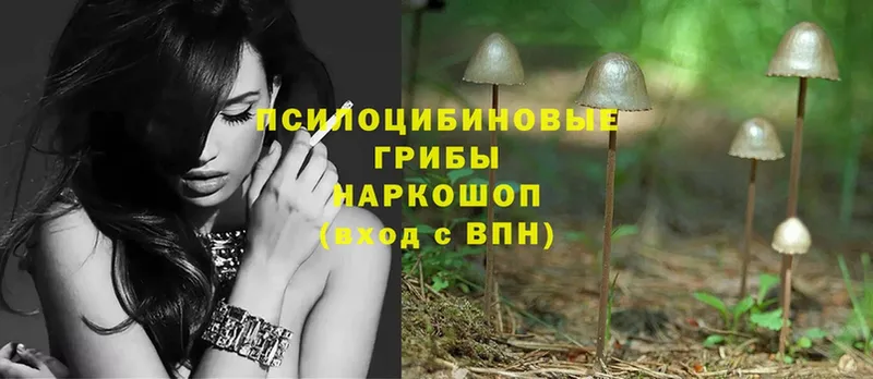 цена наркотик  Красавино  blacksprut tor  Псилоцибиновые грибы MAGIC MUSHROOMS 